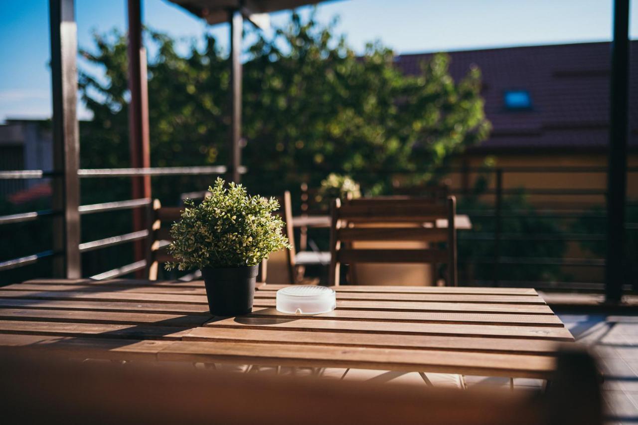 Nest Guesthouse 德罗贝塔-塞维林堡 外观 照片
